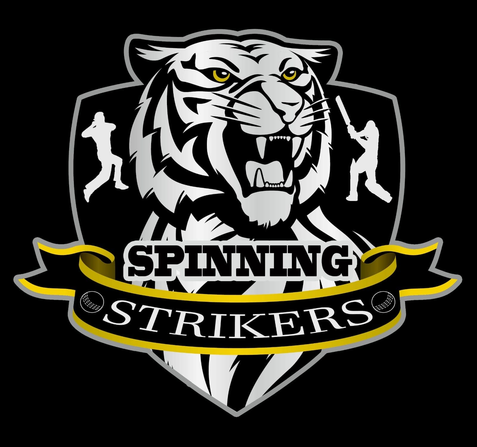 Spinning Strikers U-11&19 team logo