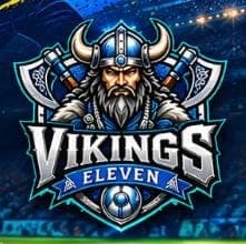 Vikings team logo