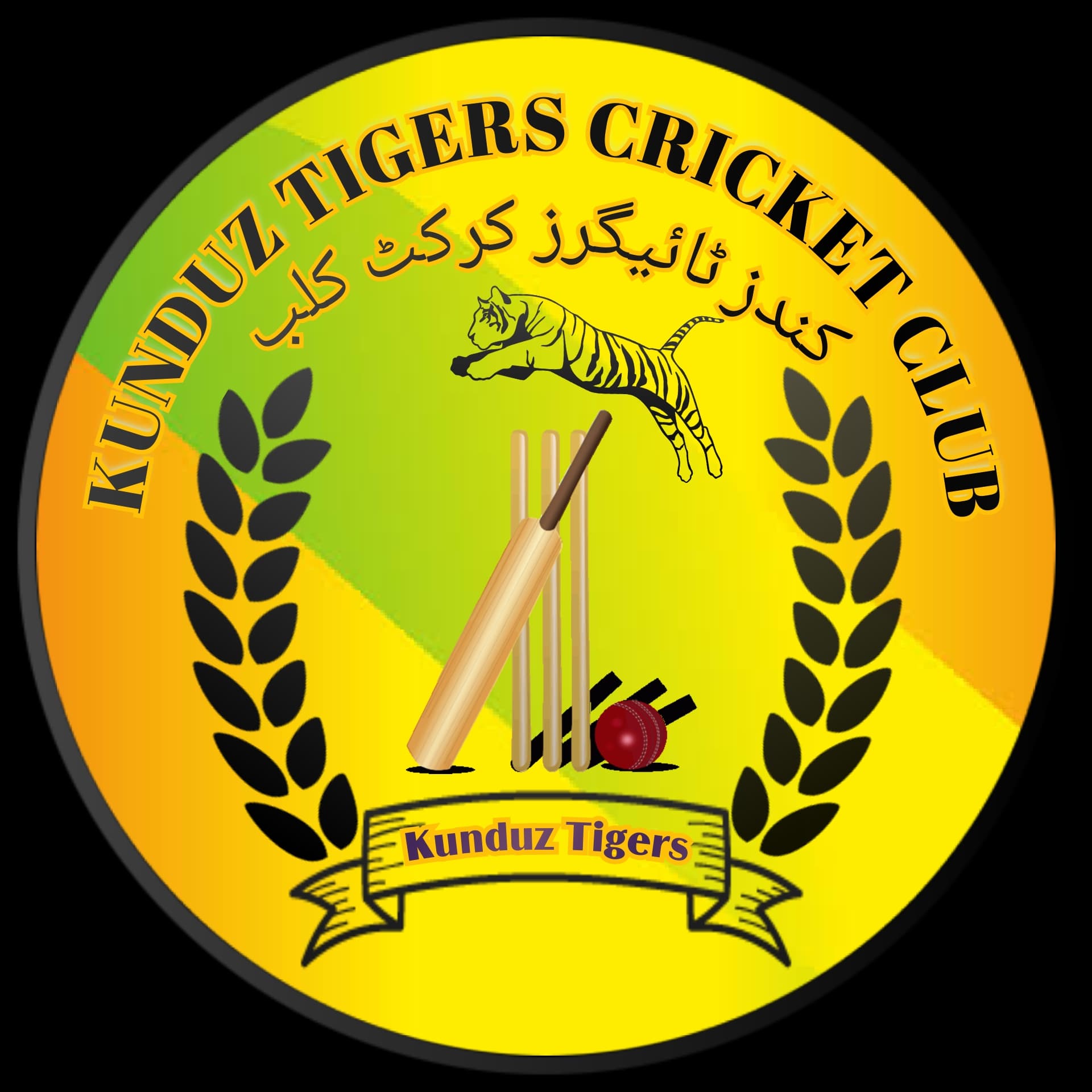 KUNDUZ TIGERS CRICKET CLUB team logo