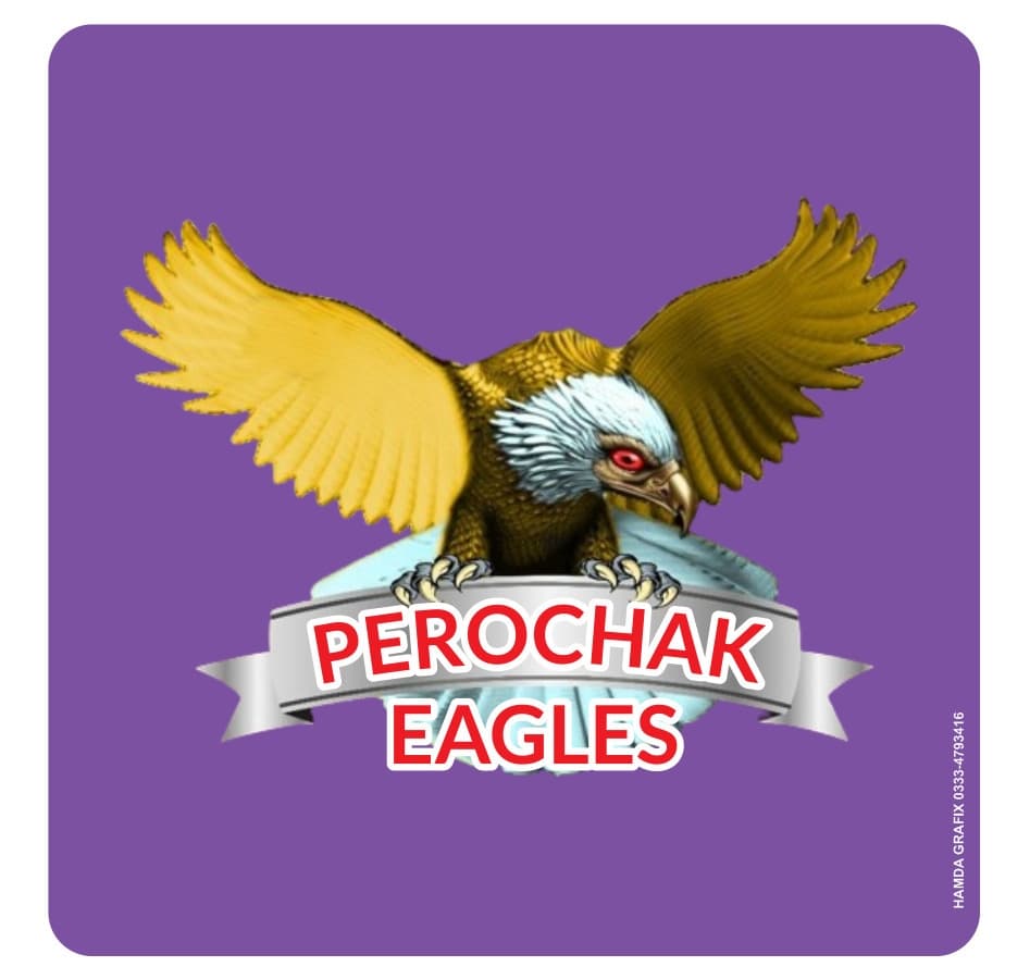 PEROCHAK EAGLES team logo