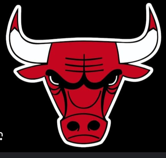 15 Bulls team logo