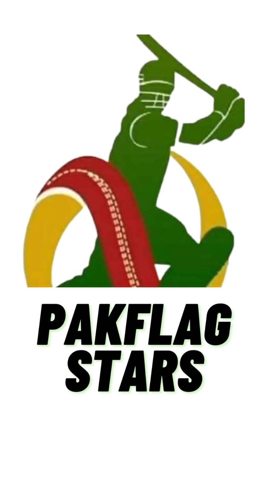 Pakflag Stars team logo