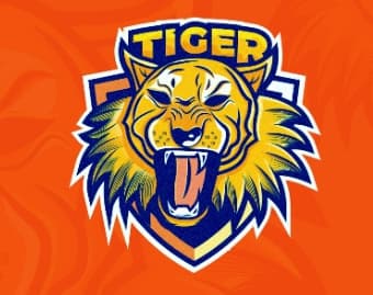 FSD TIGER