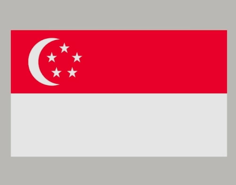 Singapore National Men's Team team logo