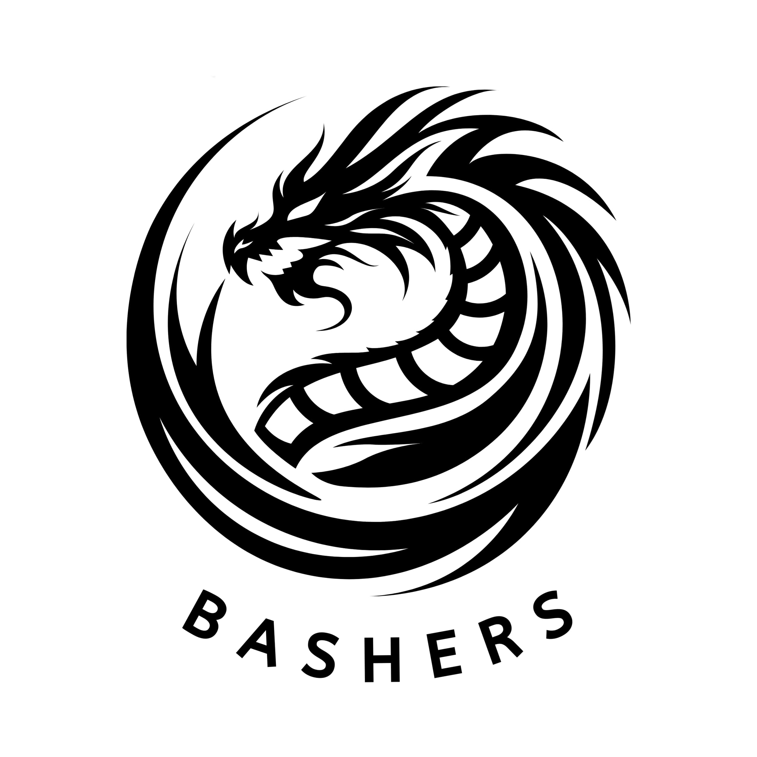 Bashers