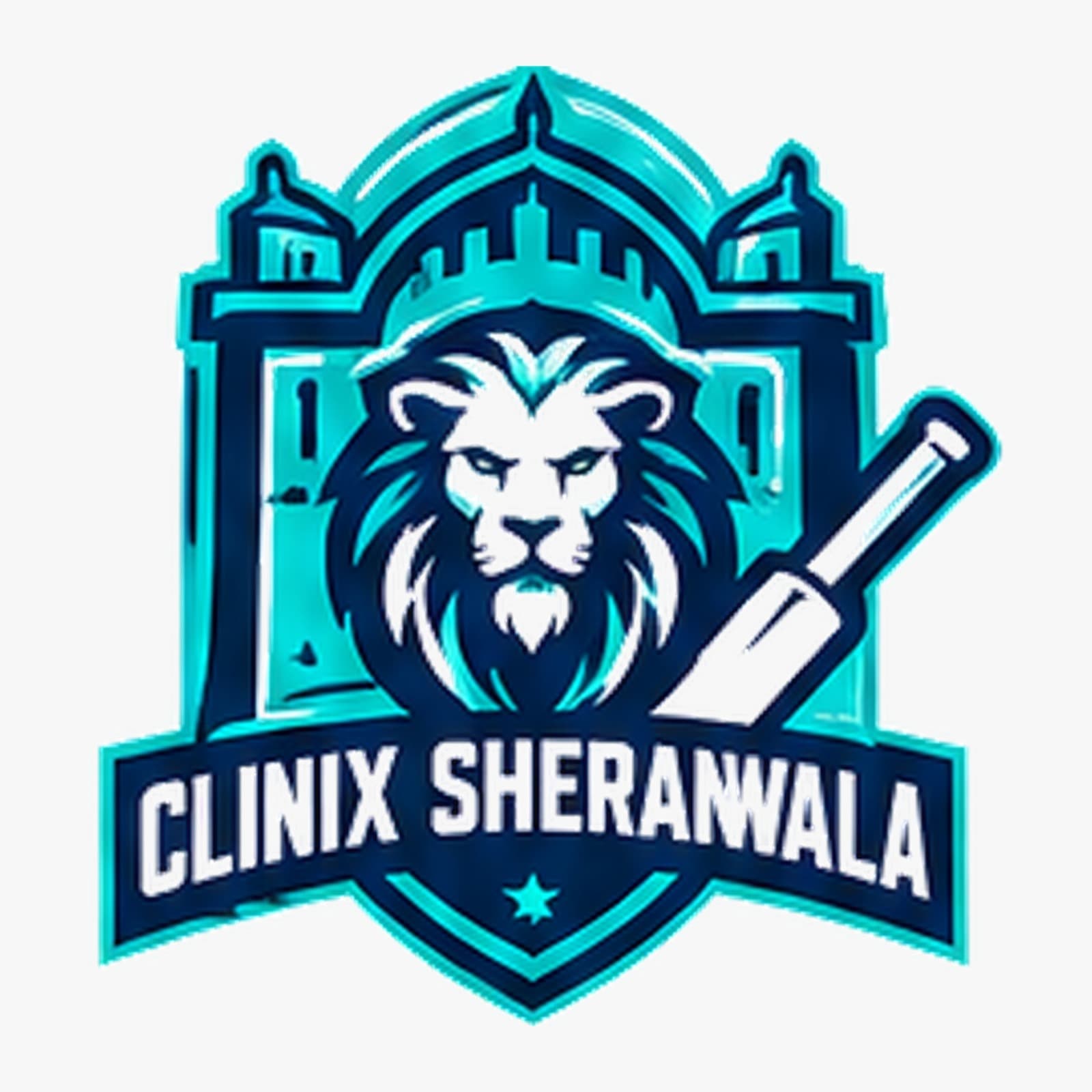 CLINIX SHERANWALA team logo