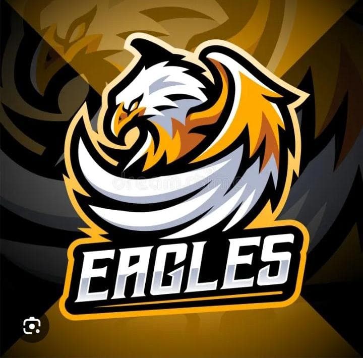 KUNJAH EAGLE'S team logo