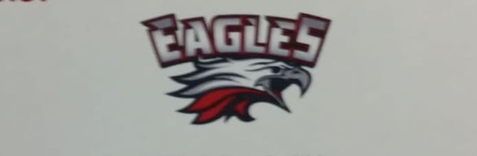 Eagles team logo