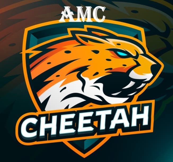 AMC CHEETAH