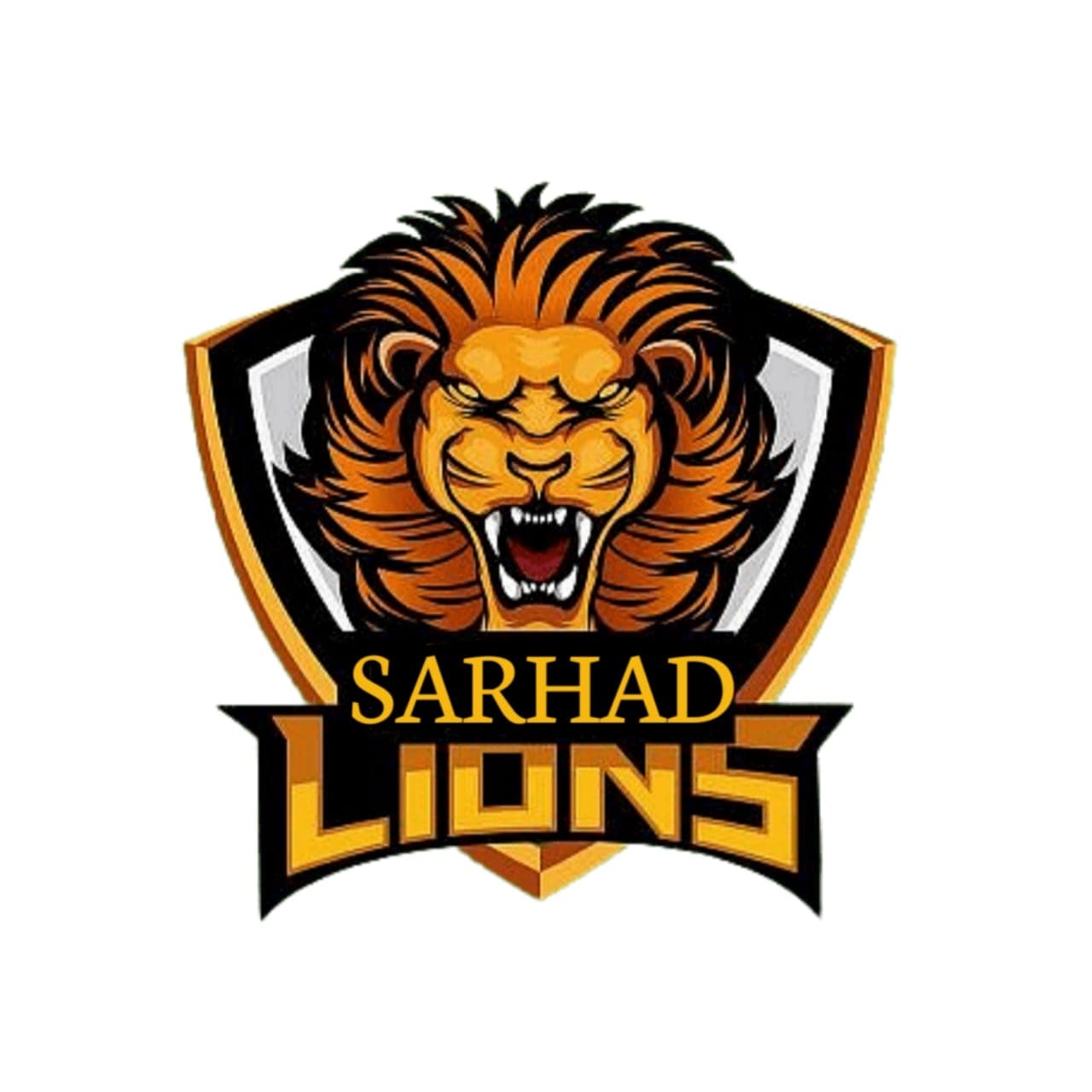 Sarhad Lions team logo
