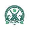 Amir Waseem International Cricket Acad