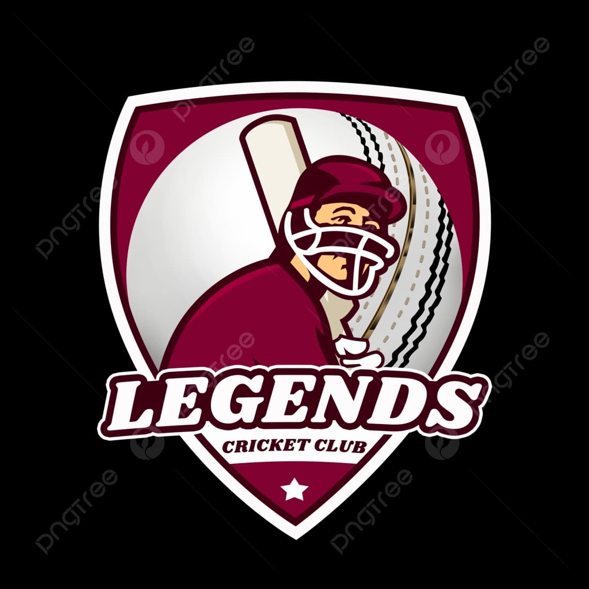 THE LEGEND CRICKET CLUB team logo