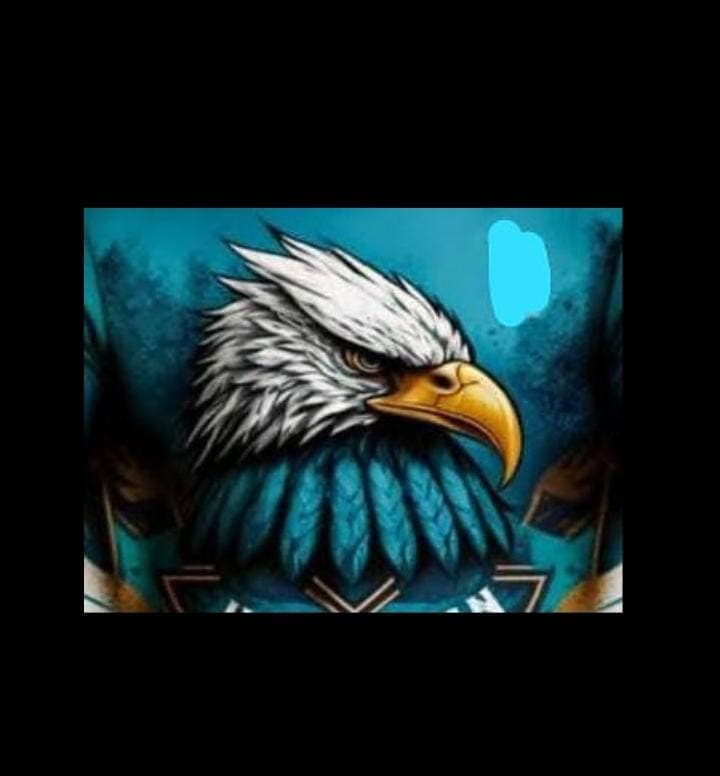 WILD   HOWKS team logo