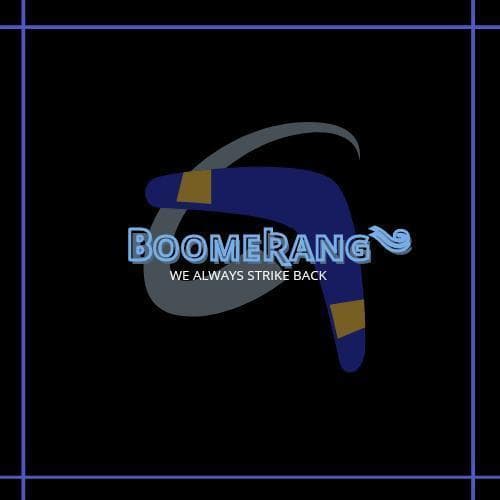 Boomerang team logo