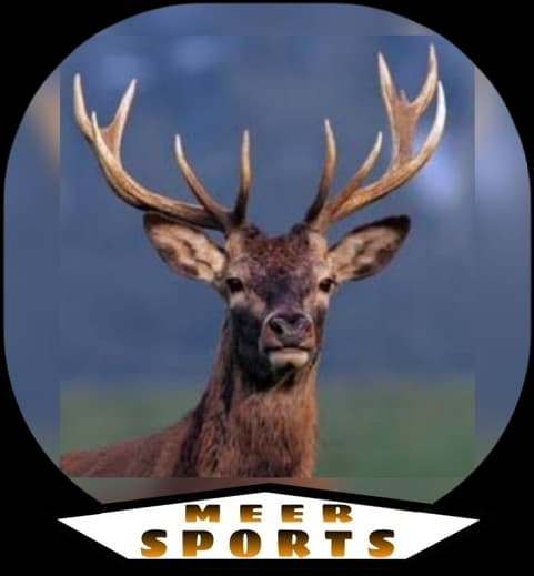 Meer Sports