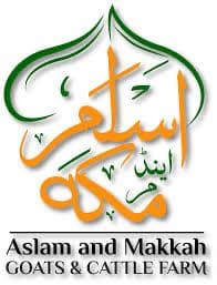 Aslam & Makkah Goats & Cattle Farm team logo
