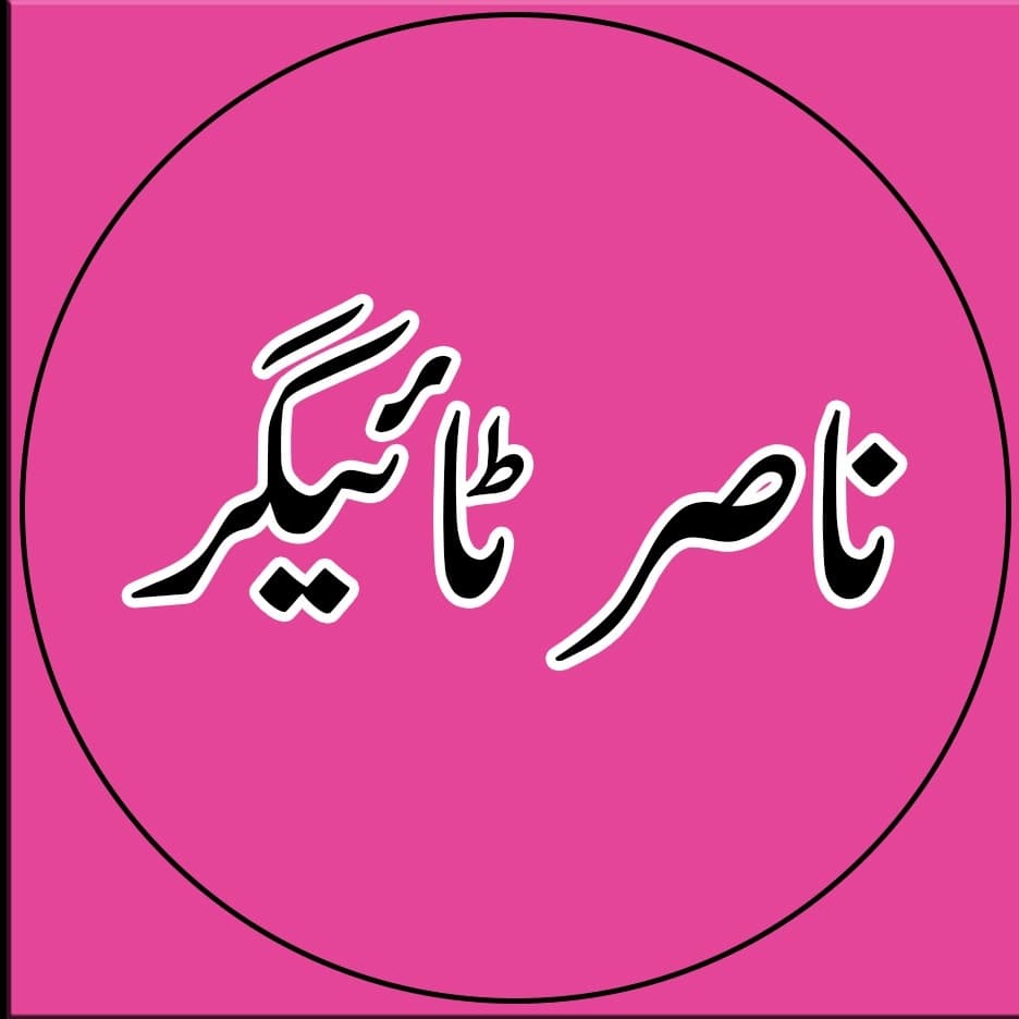 Nasar Tigers team logo