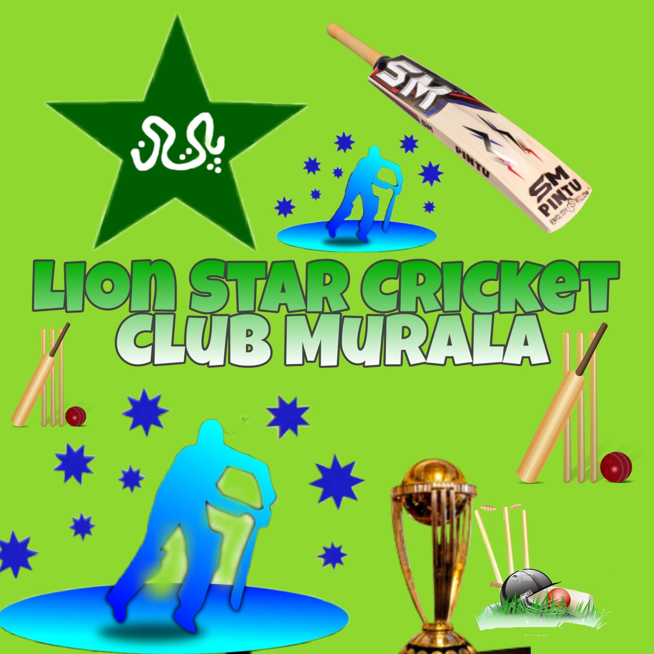 Lion STAR Cricket CLUB MURALA