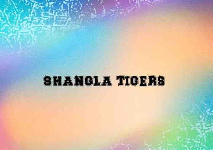Shangla Tiger's team logo