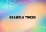 Shangla Tiger's