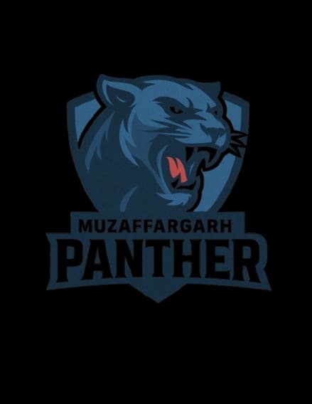 PANTHERS team logo
