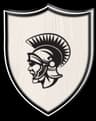 I.I Chandigarh Gladiator
