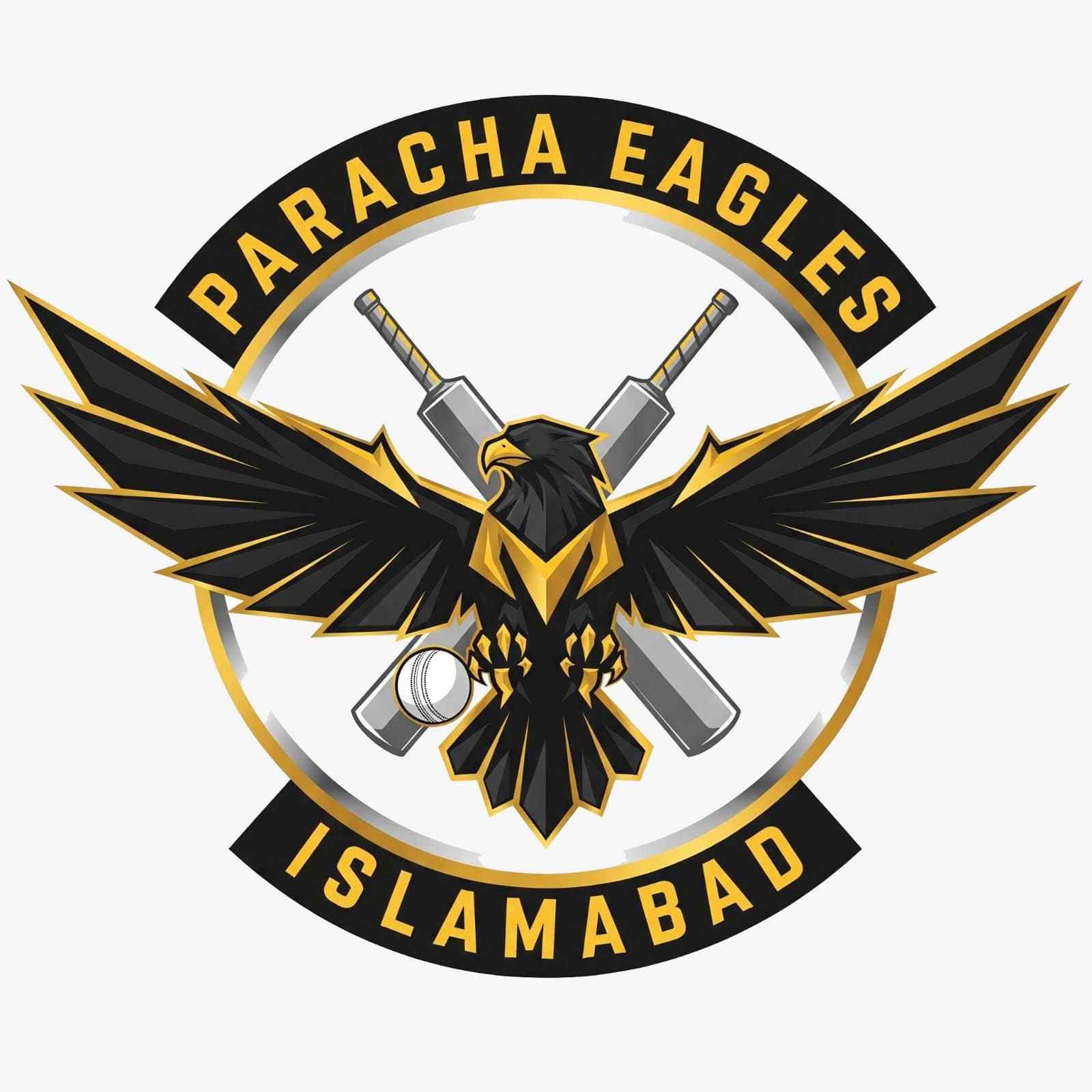 Paracha Eagles Islamabad team logo