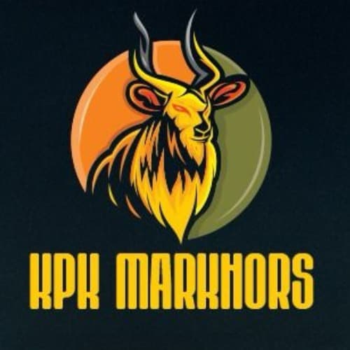 Hassan Sial team logo