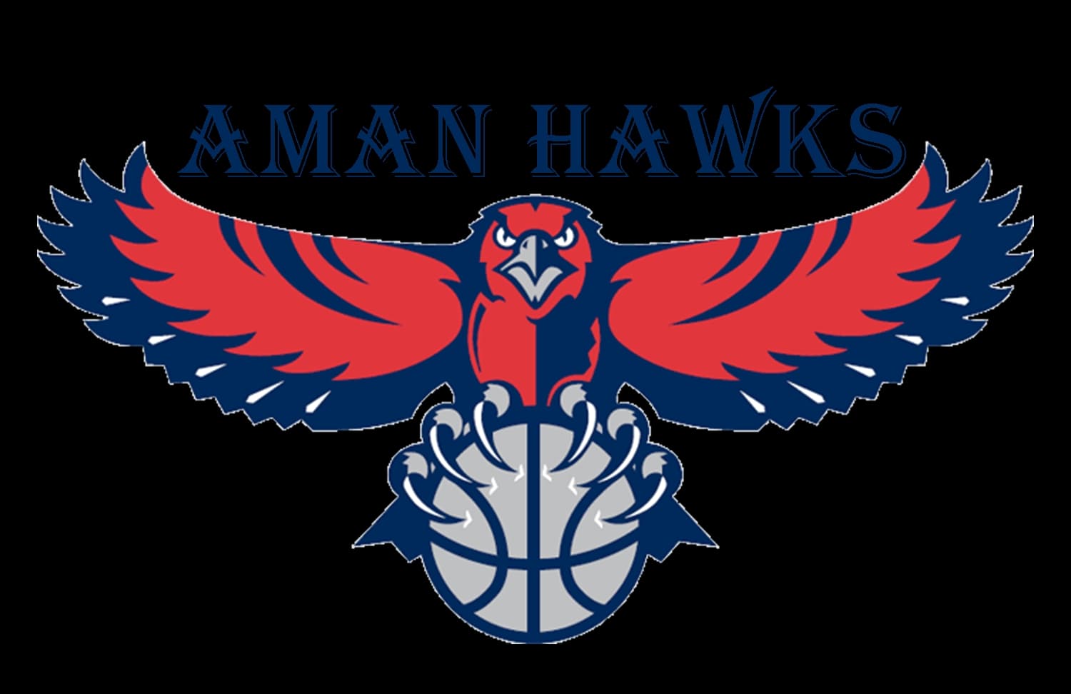 Aman Hawks team logo