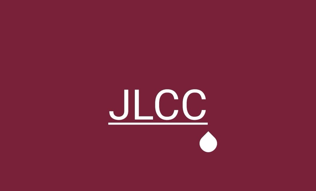 Jhoke Lal Badshah Cricket Club team logo