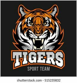 S.K Tiger team logo