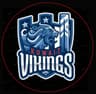 Kottayam Vikings