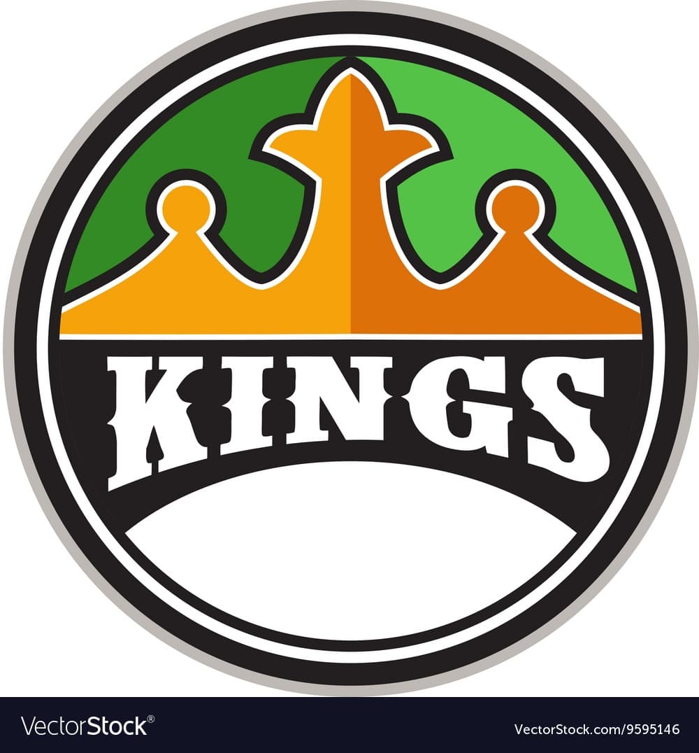 Amir_Baigh team logo