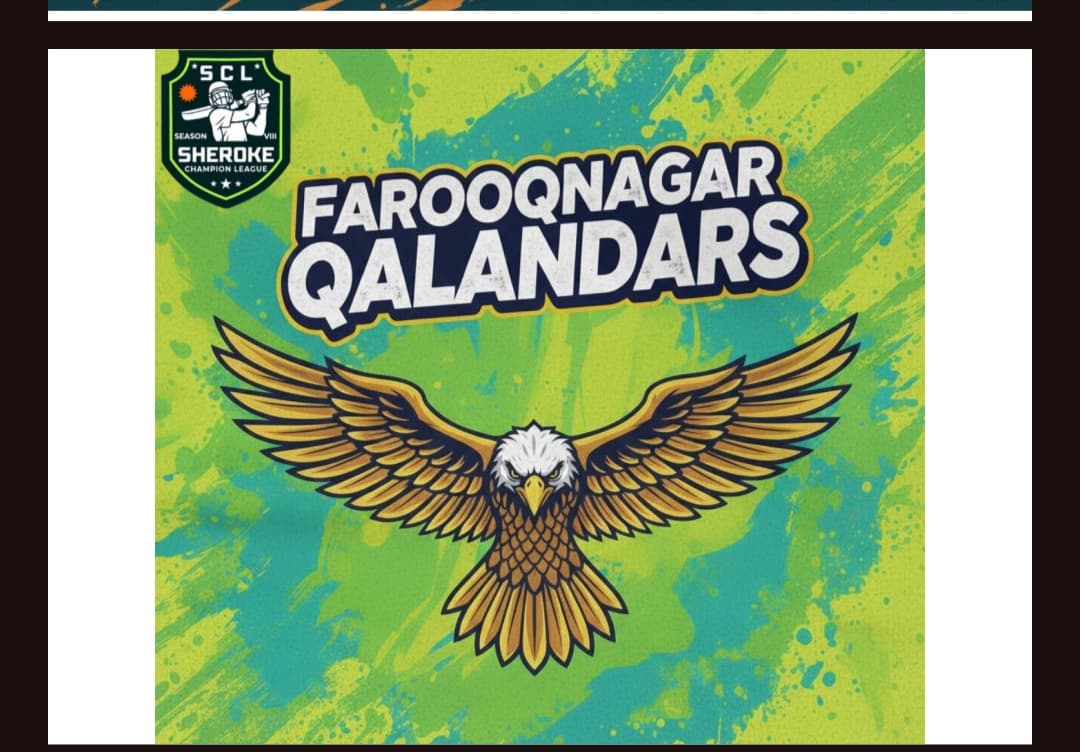FAROOQNAGAR QALANDARS team logo