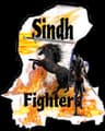Sindh Fighter S