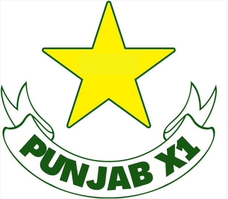 Punjab X1 team logo