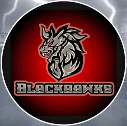 Black Hawks