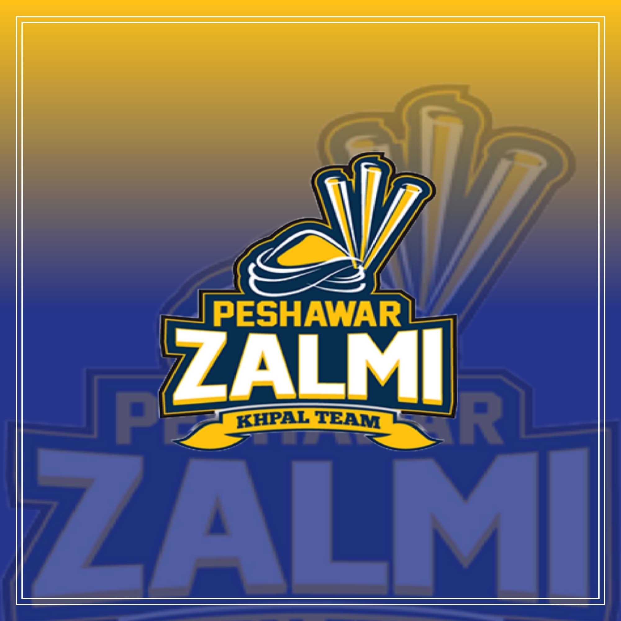 PESHAWAR ZALMI team logo