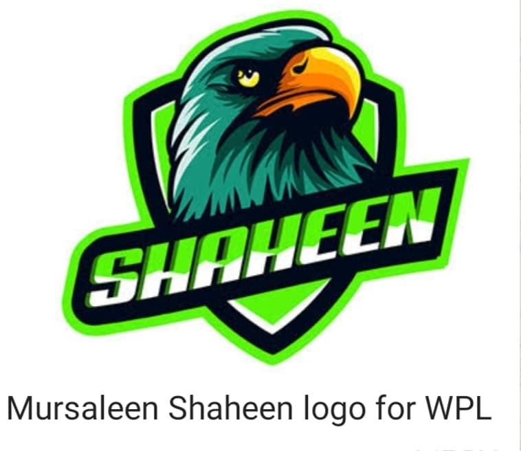 Mursaleen Shaheen team logo