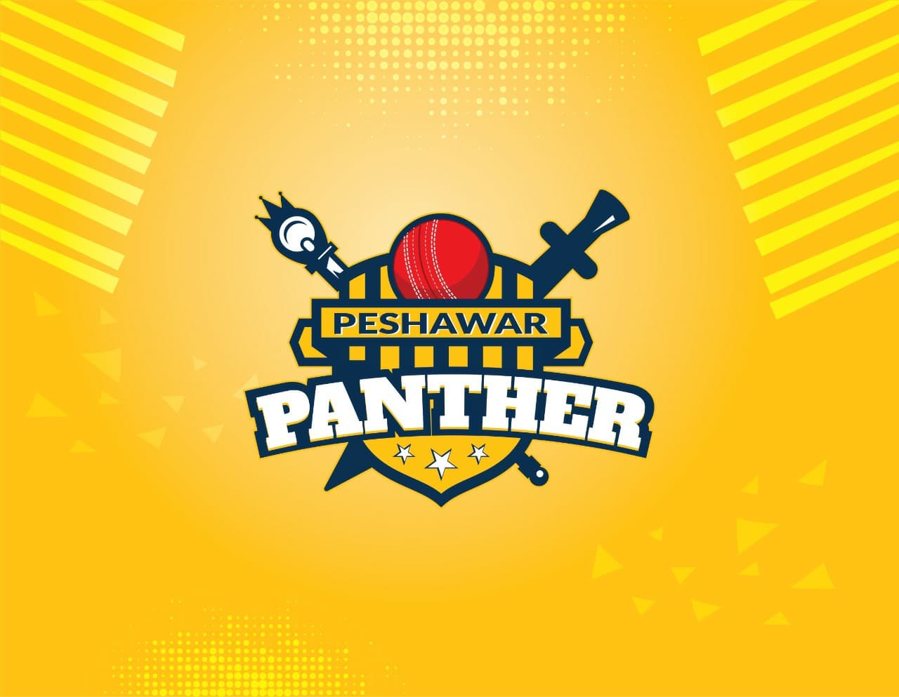 Peshawar Panthers team logo