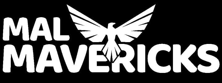 Mavericks team logo