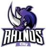 City Rhinos