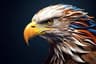 Tibbi Eagles 🦅