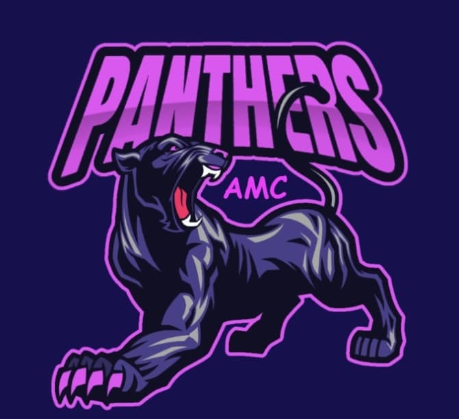 AMC PANTHERS team logo
