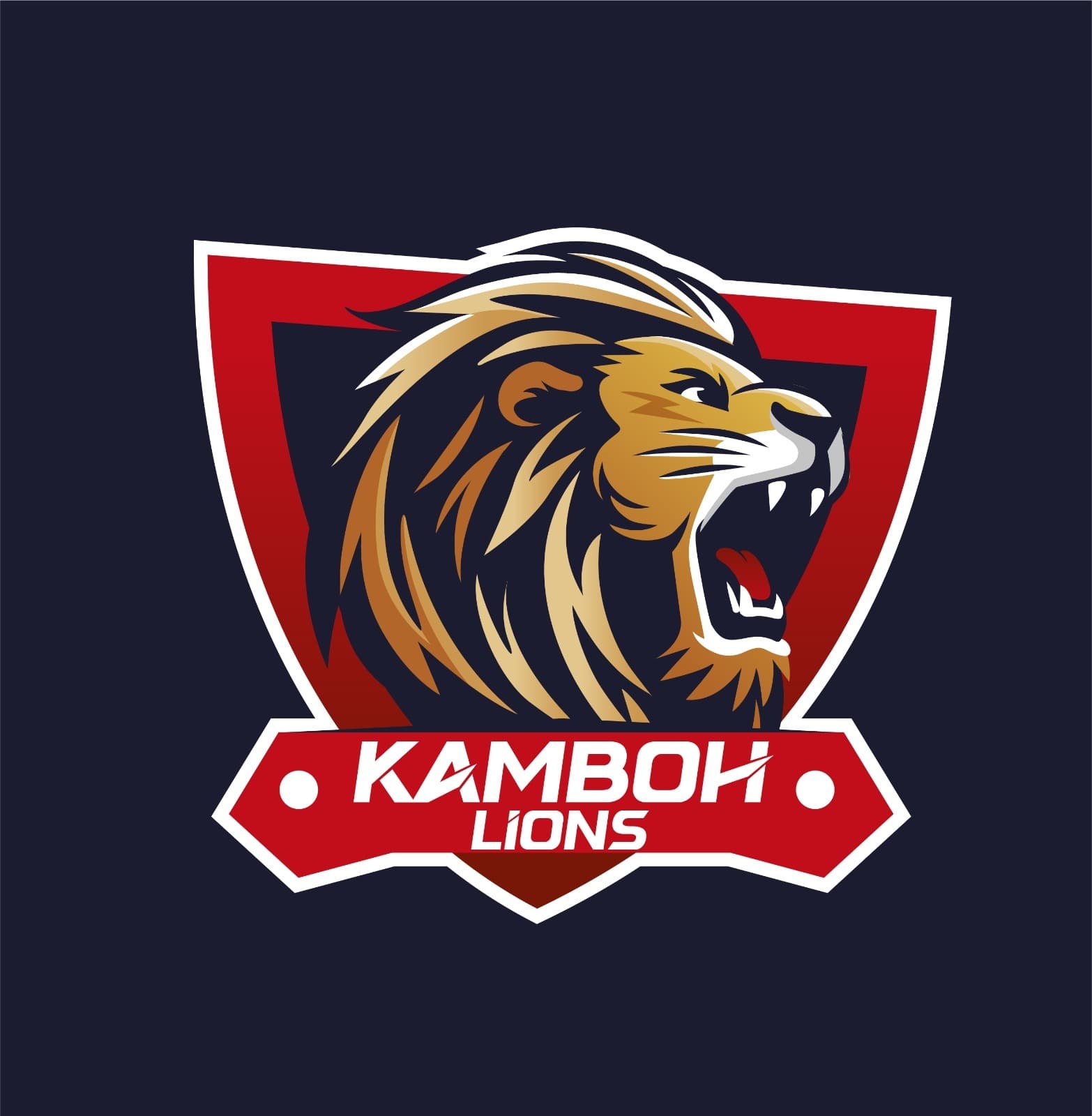 Kmbo Lion