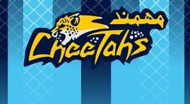 Mohmand cheetahs team logo