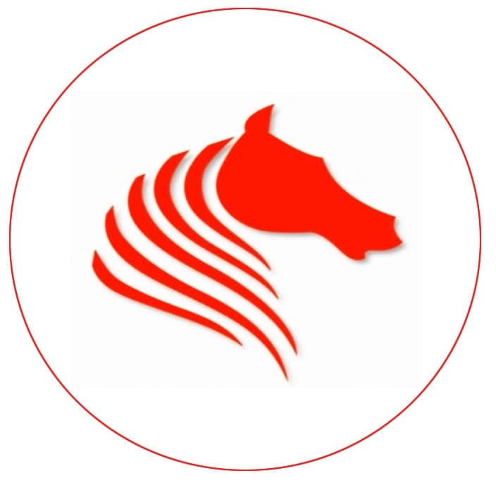 Saipem Dominators team logo