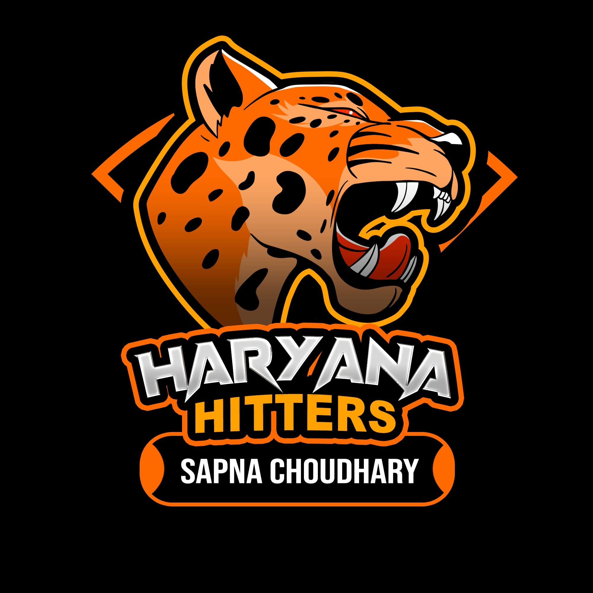 AAMIN BARODI team logo