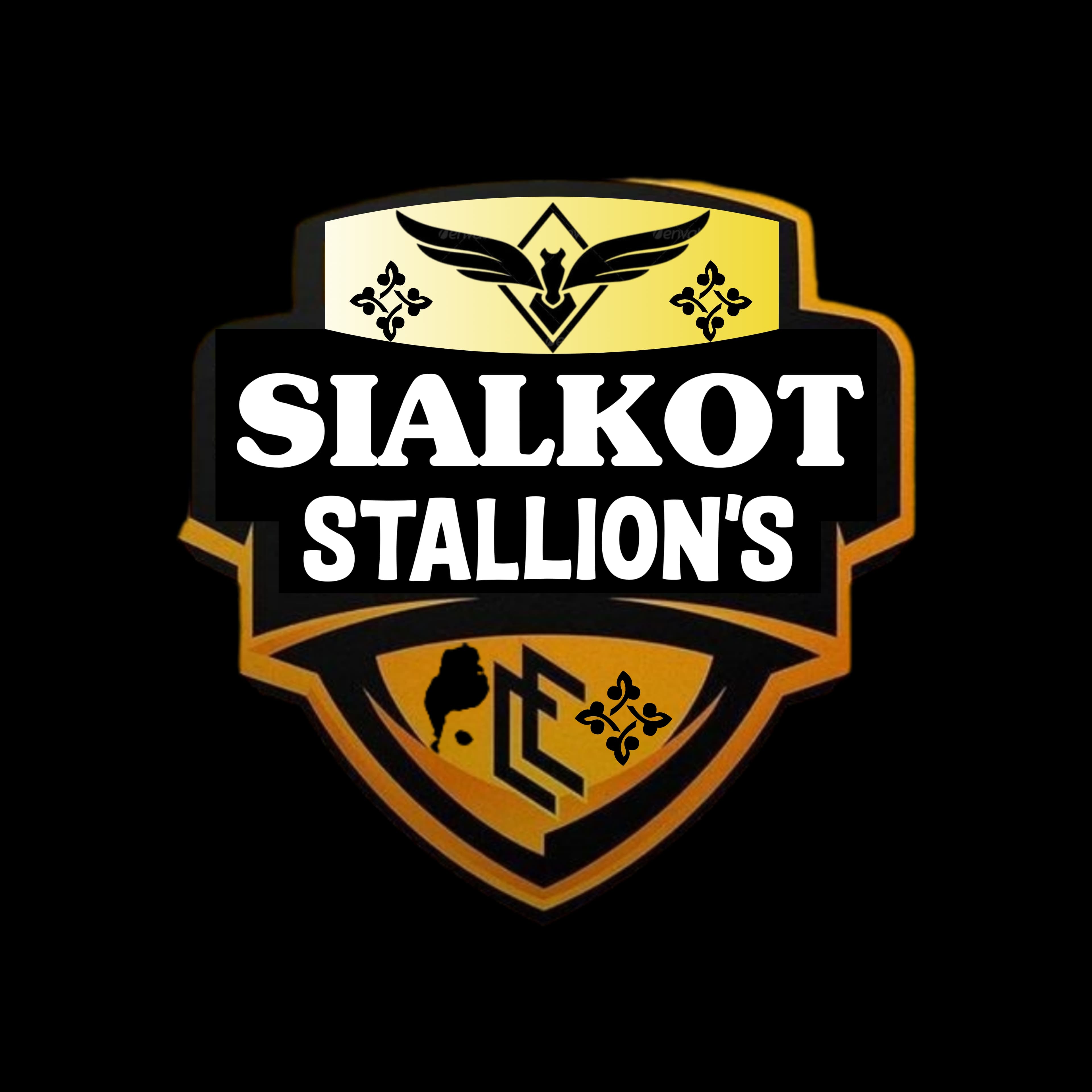 Sialkot Stallion's