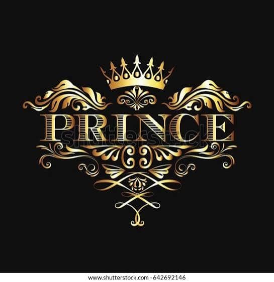 Prince Darya Gali team logo